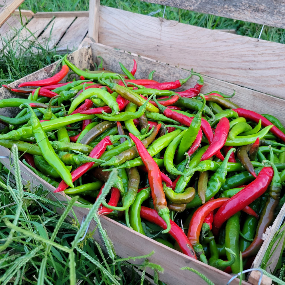 Rugged Jack's Hot Sauce