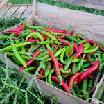 Rugged Jack's Hot Sauce